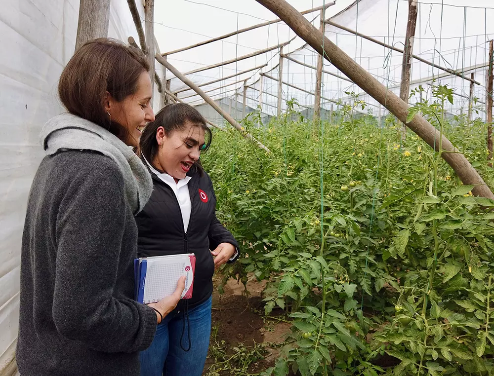 Volontariat entrepreneurial a impact