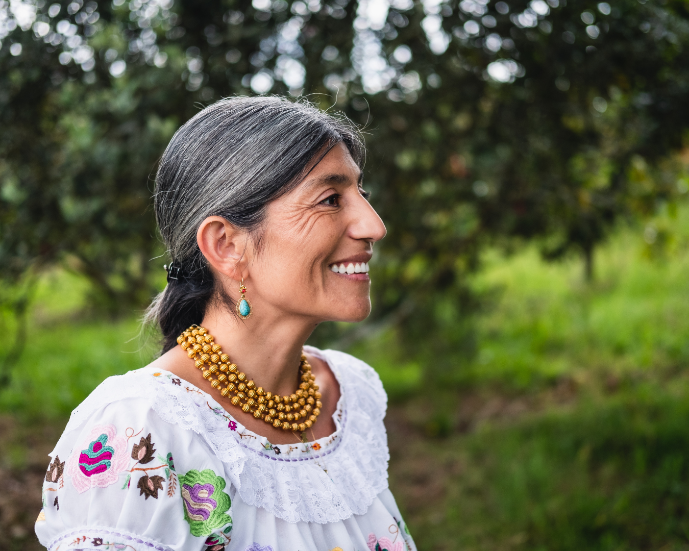 Amérique latine volontariat