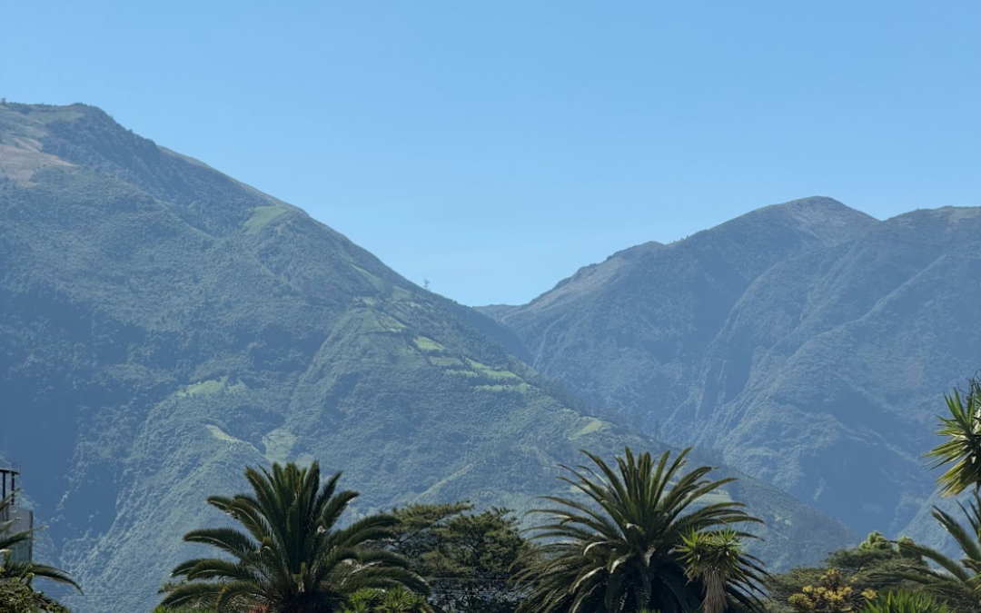 Entrepreneuriat féminin en Amérique latine : la montagne n’est pas toujours là où on le pense
