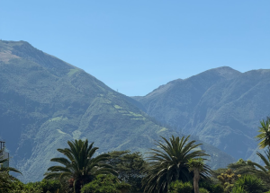 Entrepreneuriat féminin en Amérique latine : la montagne n’est pas toujours là où on le pense