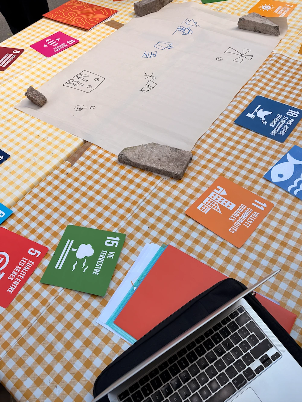 Transformons : comment les jeunes en Service Civique accompagnent la transition écologique des associations